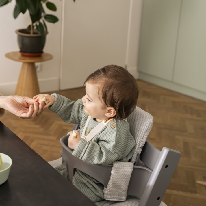 Tripp Trapp® Baby Set² (Storm Grey)【Pre Order Now! Delivery after mid Jul】